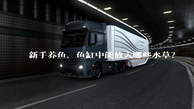 新手养鱼，鱼缸中能放入哪些水草？