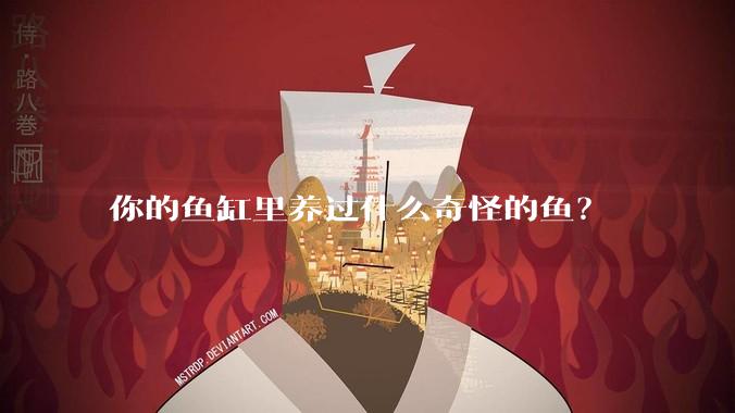 你的鱼缸里养过什么奇怪的鱼？